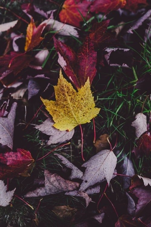 3 Ways to Embrace Change this Autumn